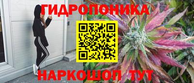 амф Усть-Джегута